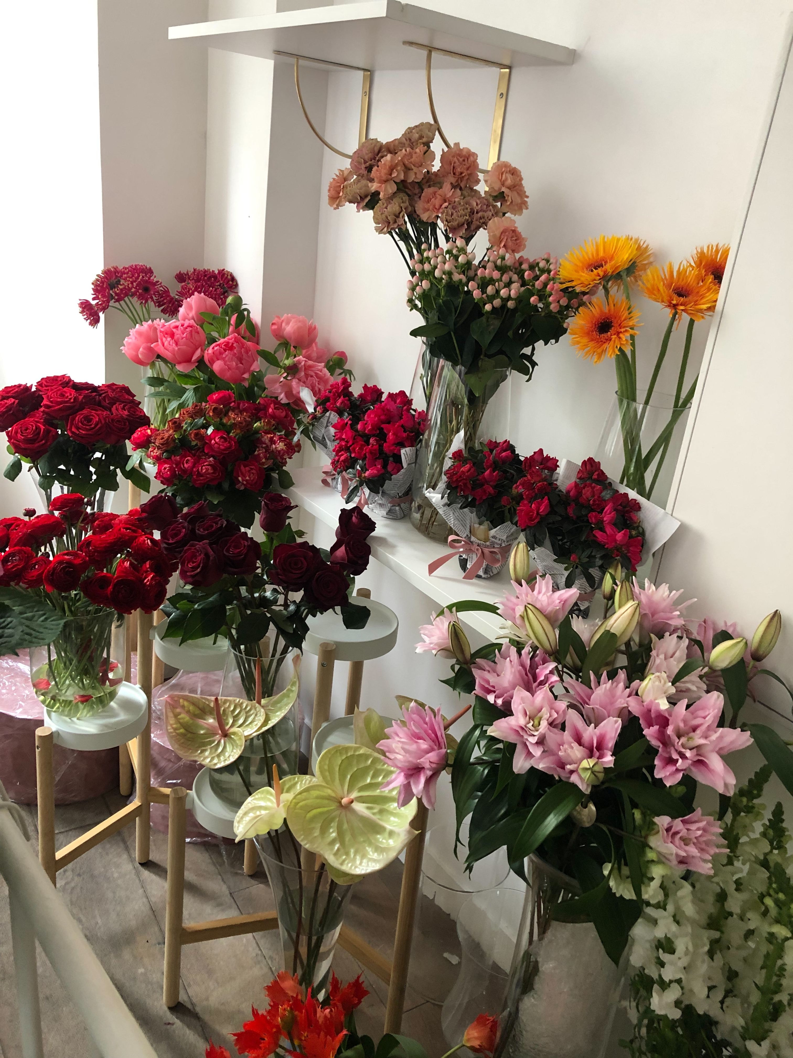 Miniature de la galerie