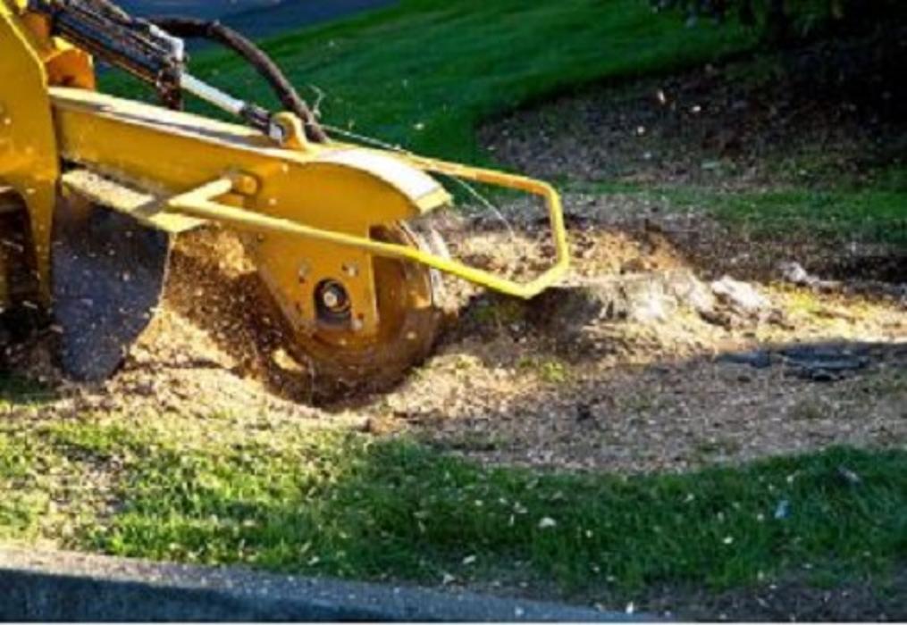 Tree Huggers LLC - Oklahoma City, OK