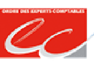 S.E.G.E.C Sté de Gestion et d'Expertise Comptable