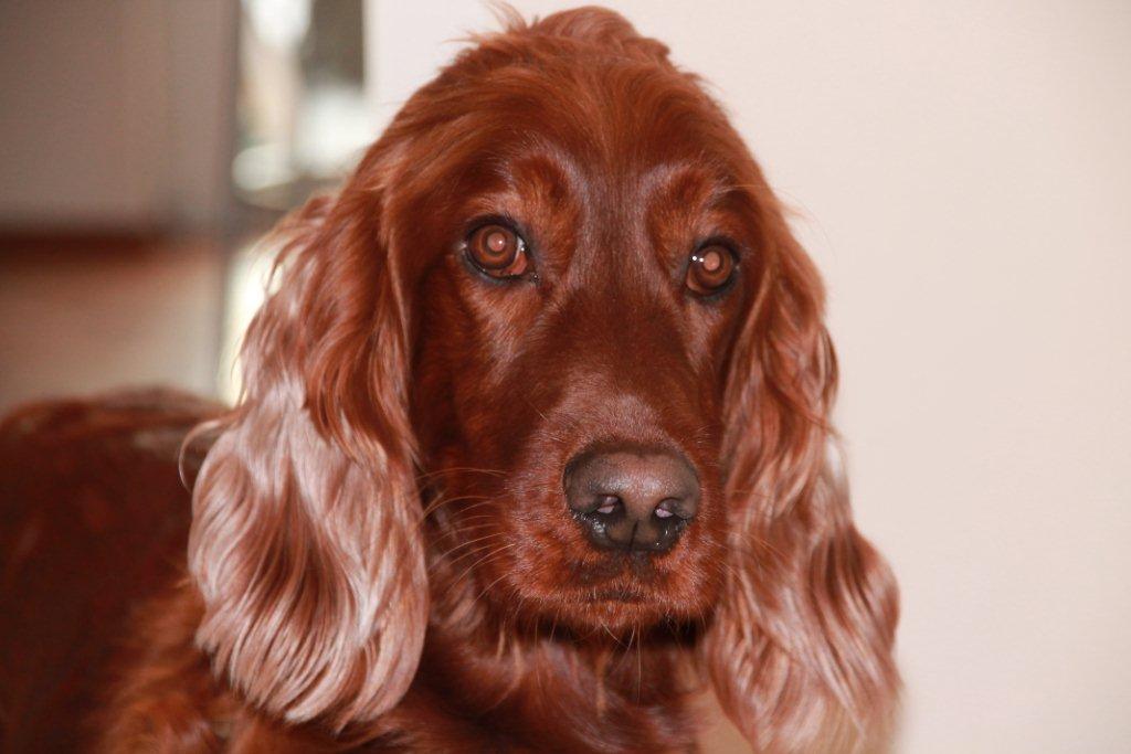 Neuhaus Reisen Bremen