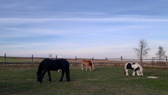 ErlebnisHof Strasser, Allentsgschwendt in Allentsgschwendt