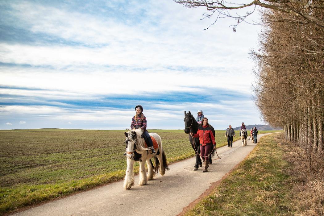 ErlebnisHof Strasser in Allentsgschwendt