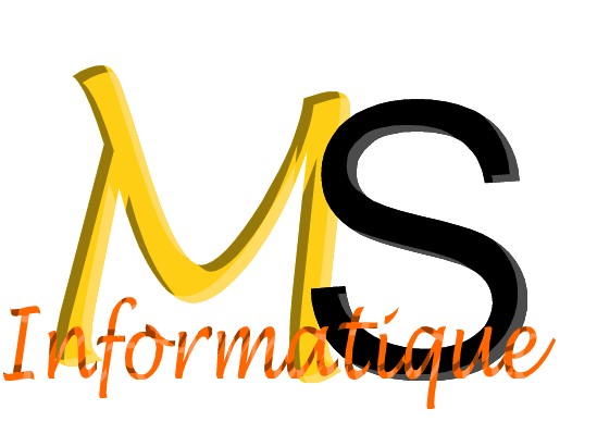 MS INFORMATIQUE Expert