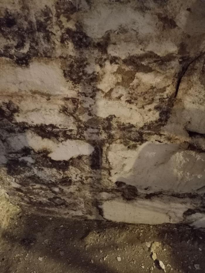 K&E Demolition And Mold Removal - Belleville, IL