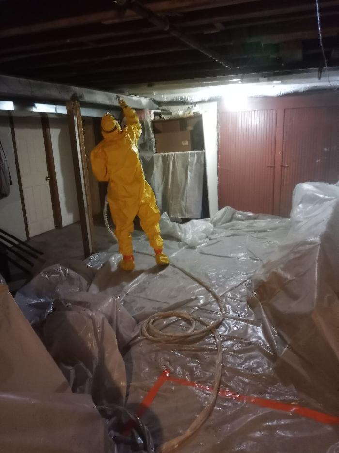 K&E Demolition And Mold Removal - Belleville, IL