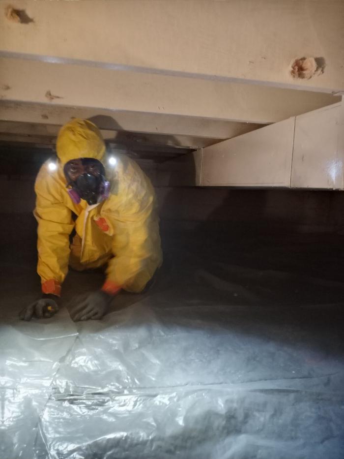 K&E Demolition And Mold Removal - Belleville, IL