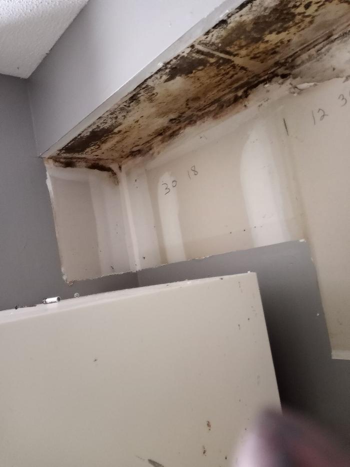 K&E Demolition And Mold Removal - Belleville, IL