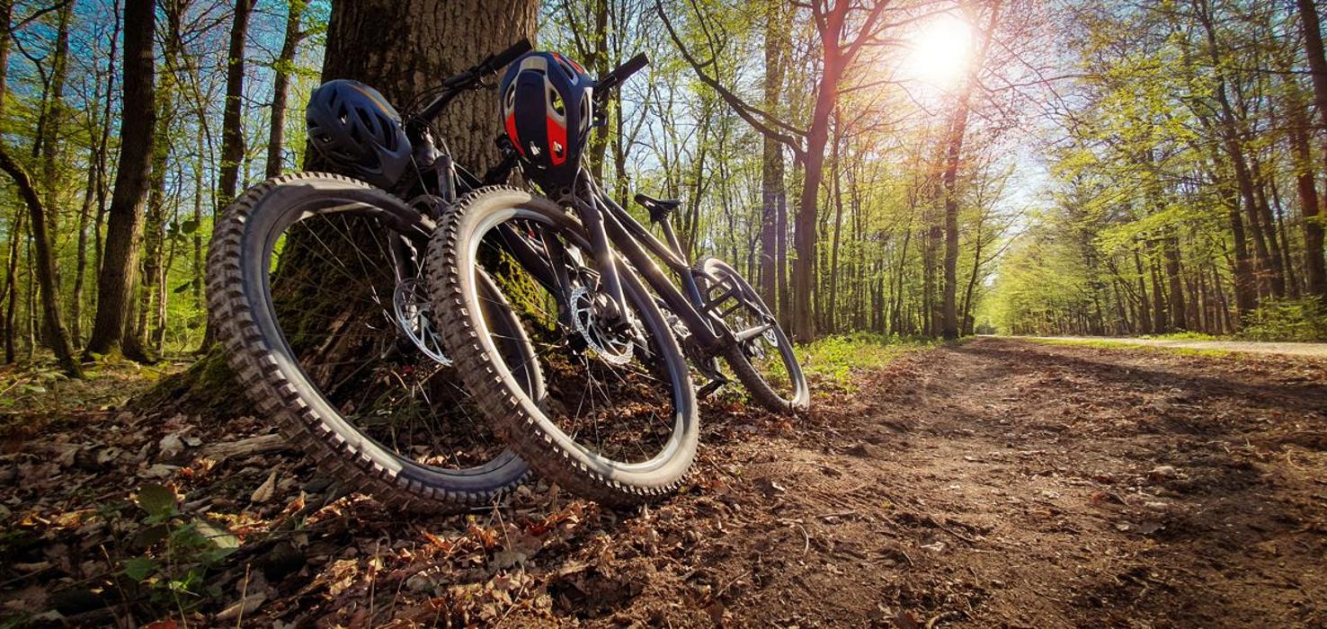 E-Bike Verleih inkl. Touren in Ellmau - 10% Thomas Fischer, Birkenweg in Ellmau