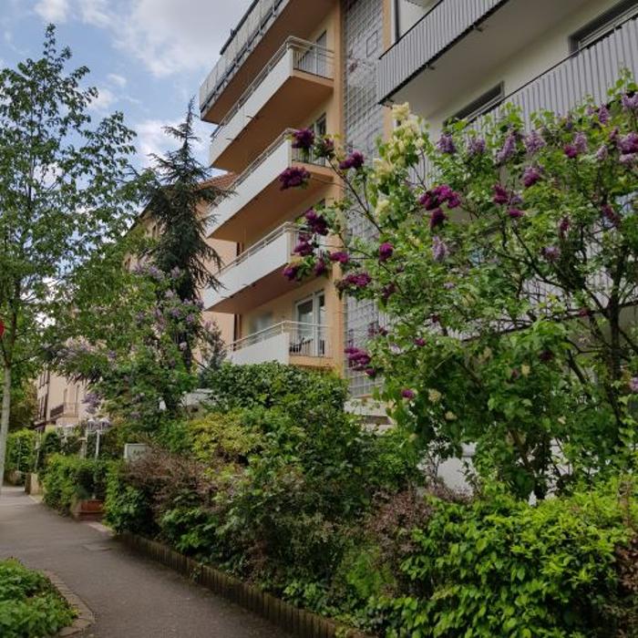 Sandra Friedrich, Mathildenstraße in Freiburg im Breisgau