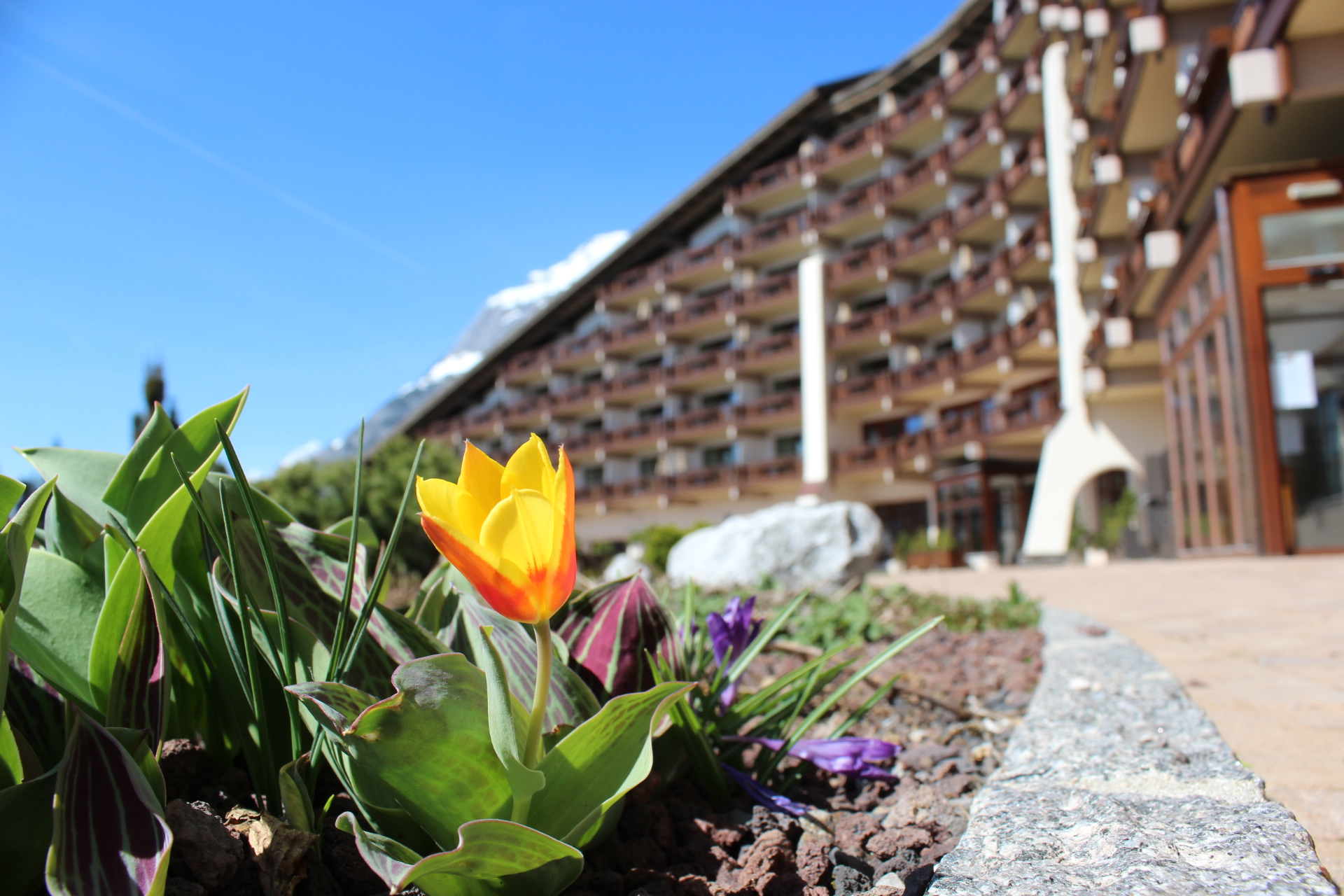 Galerie-Thumbnail