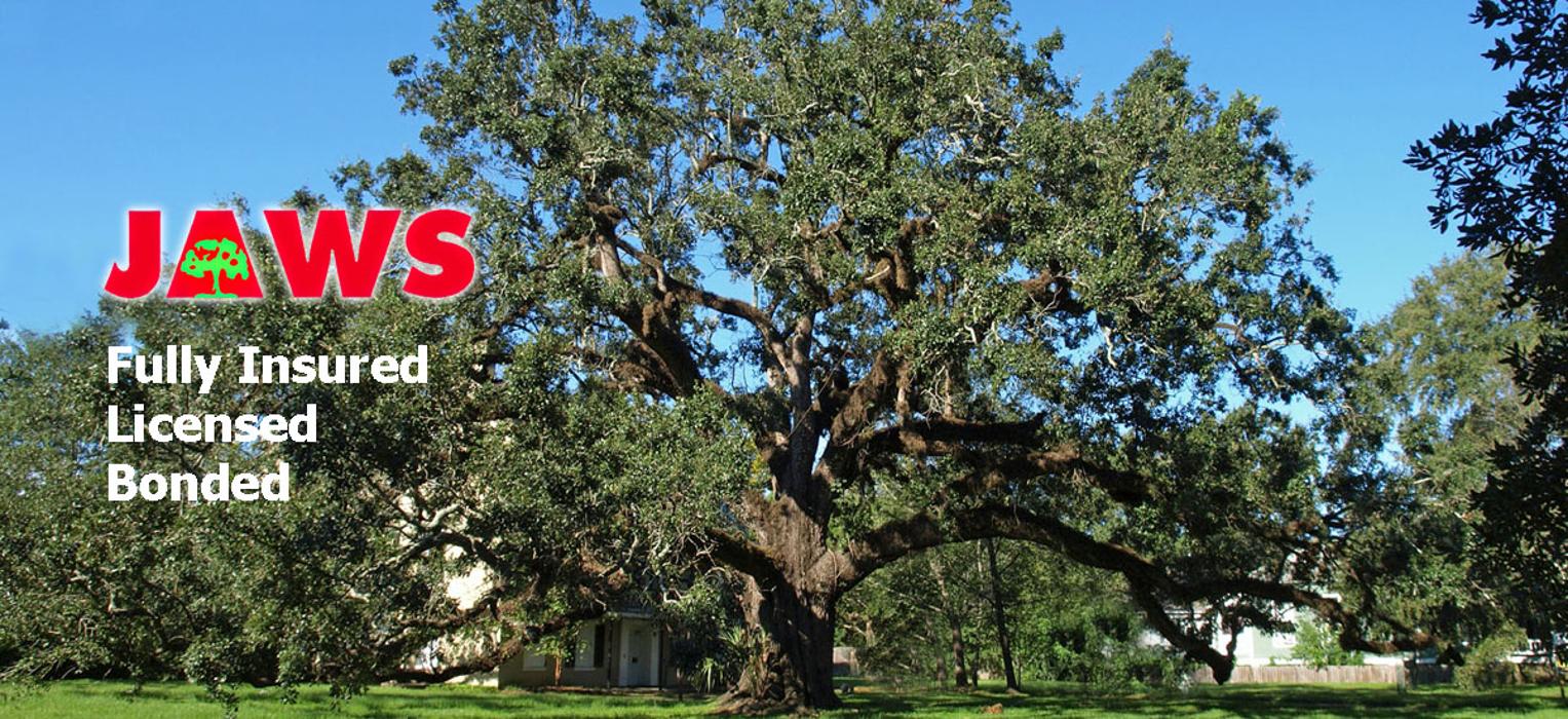 JA WEAVER'S JAWS TREE SERVICE, INC. Logo