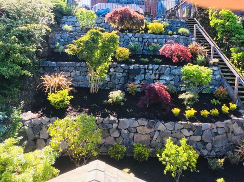 Reye's Landscaping LLC - Marysville, WA