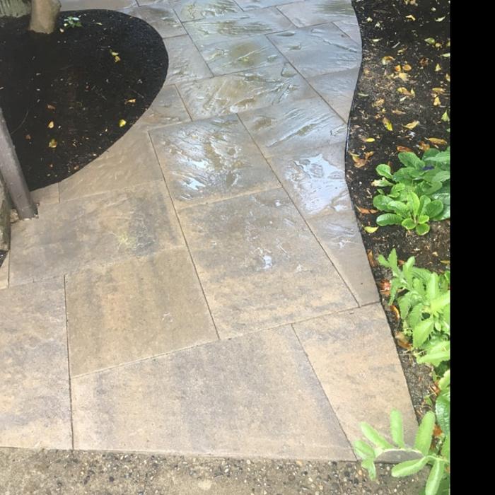 Reye's Landscaping LLC - Marysville, WA