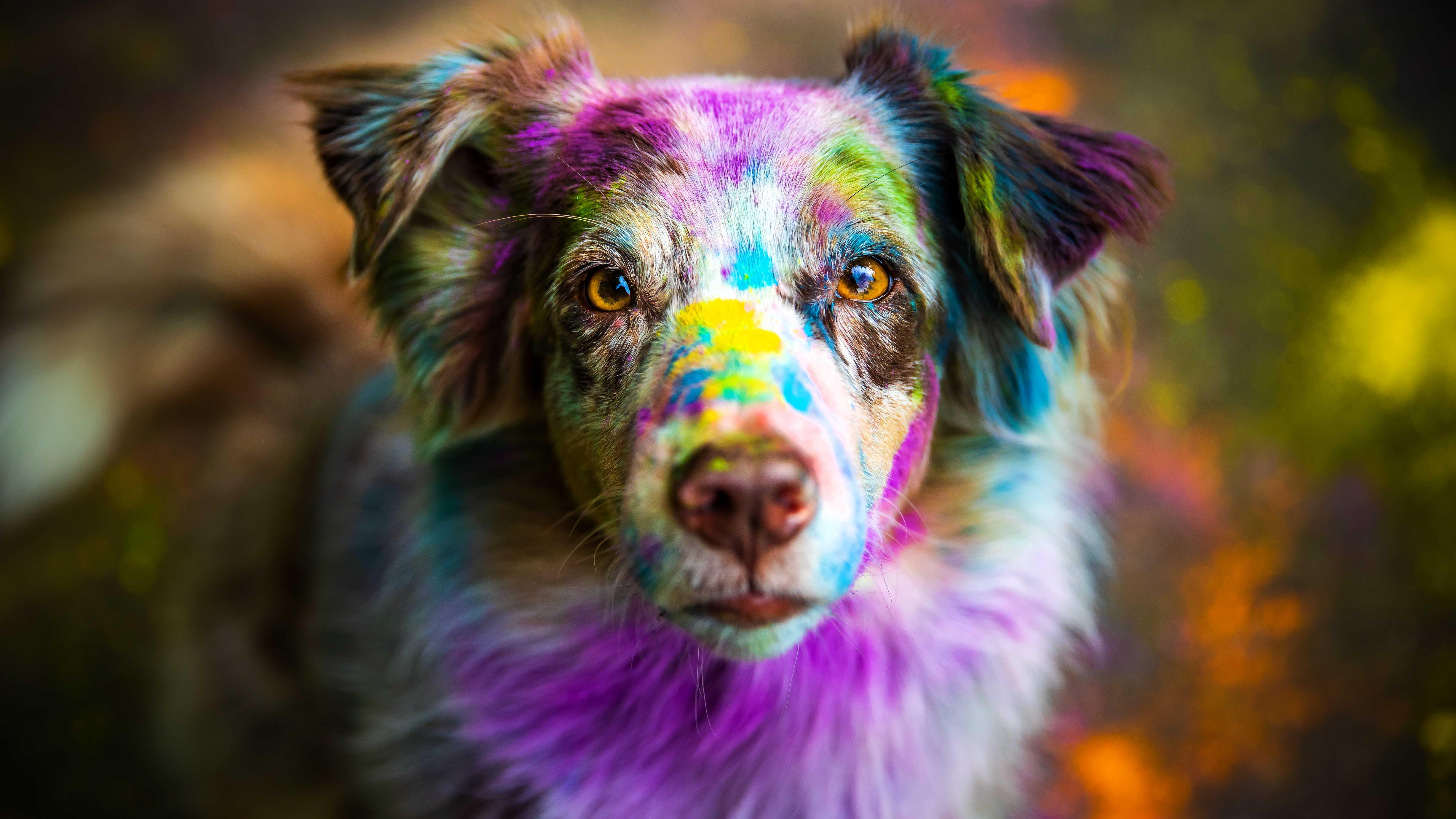 Beshepherd Tierfotografie - Sophie Lombeck, Bardowicker Wasserweg in Lüneburg