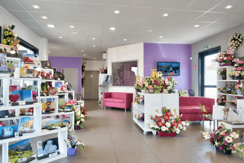 Miniature de la galerie