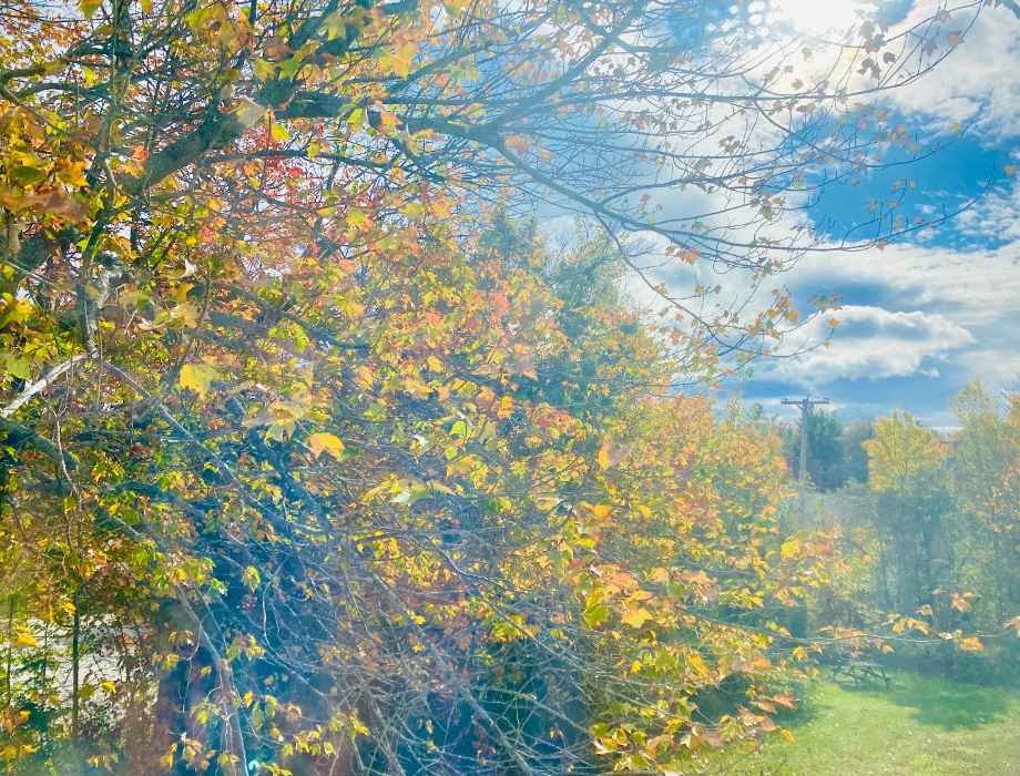 Maine Medical Massage - Auburn, ME