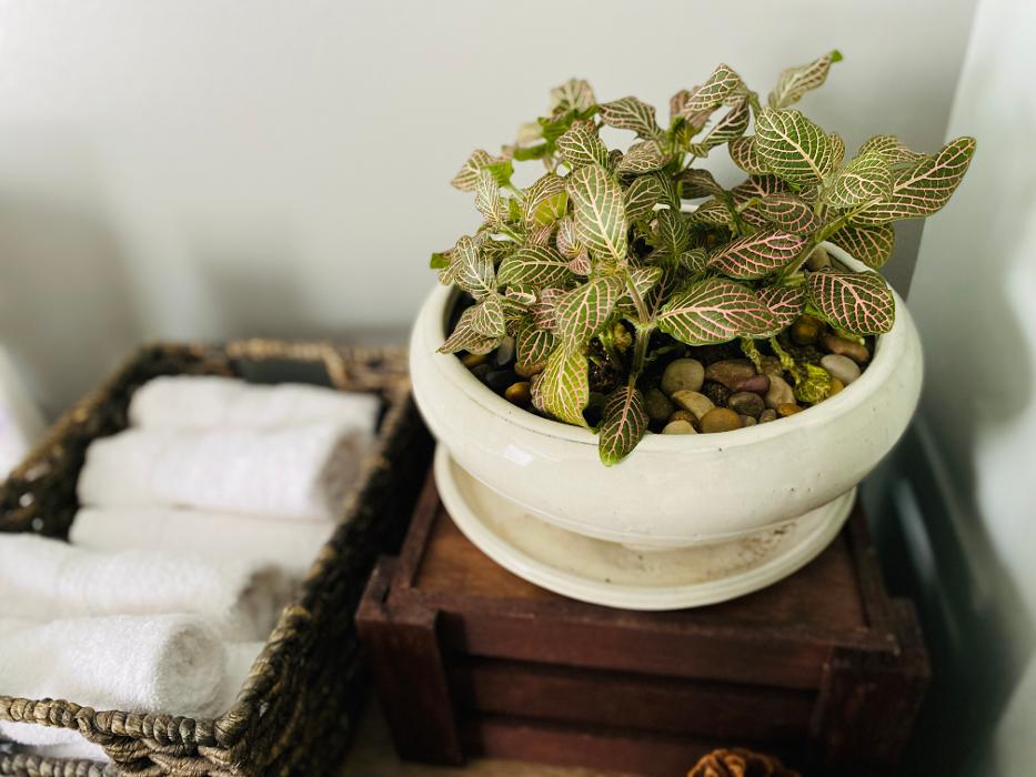 Maine Medical Massage - Auburn, ME