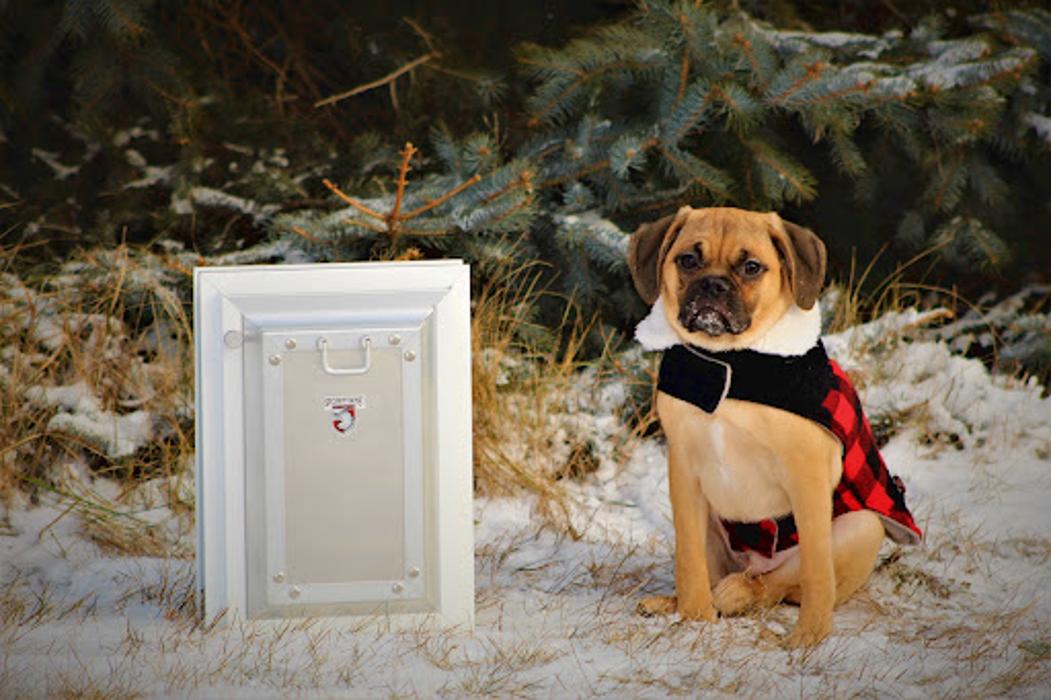 Security Boss Pet Doors - La Crosse, WI