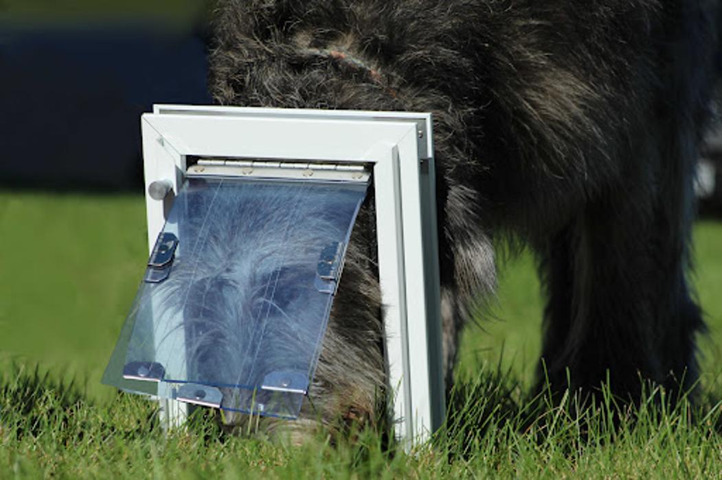 Security Boss Pet Doors - La Crosse, WI