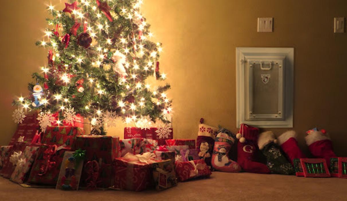 Security Boss Pet Doors - La Crosse, WI