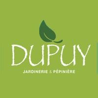 Dupuy paysagiste conseil