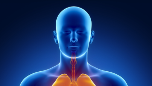 Intensive Care Ambulante Pflege und Heimbeatmung, Rheinstraße in Ransbach-Baumbach