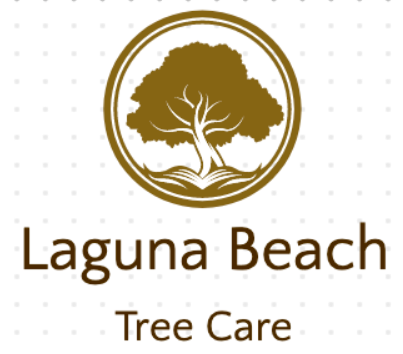 Laguna Beach Tree Care - Laguna Beach, CA