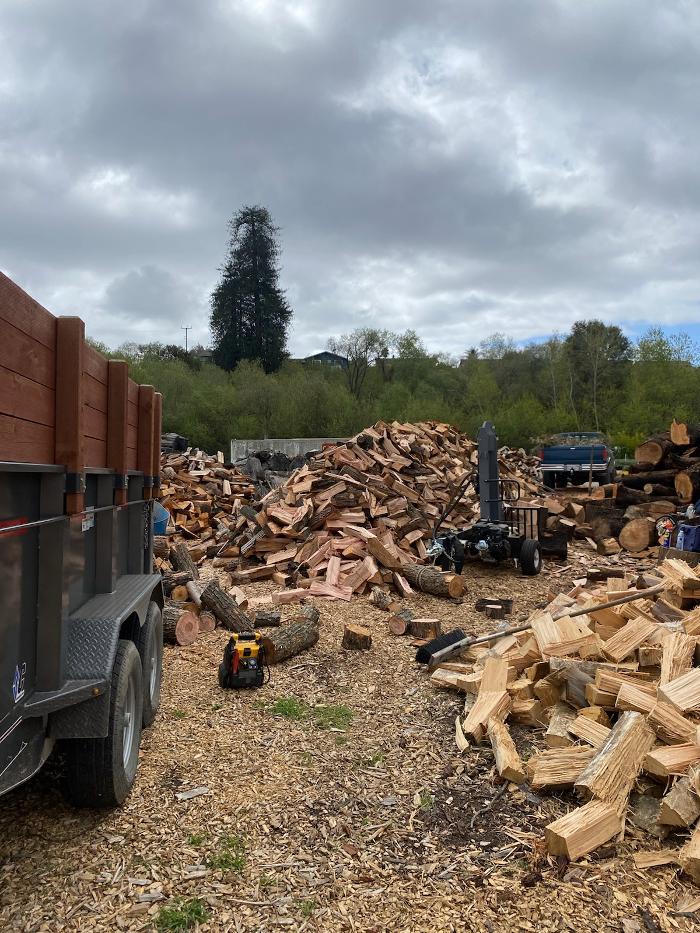 Carrillo Tree Service - Watsonville, CA