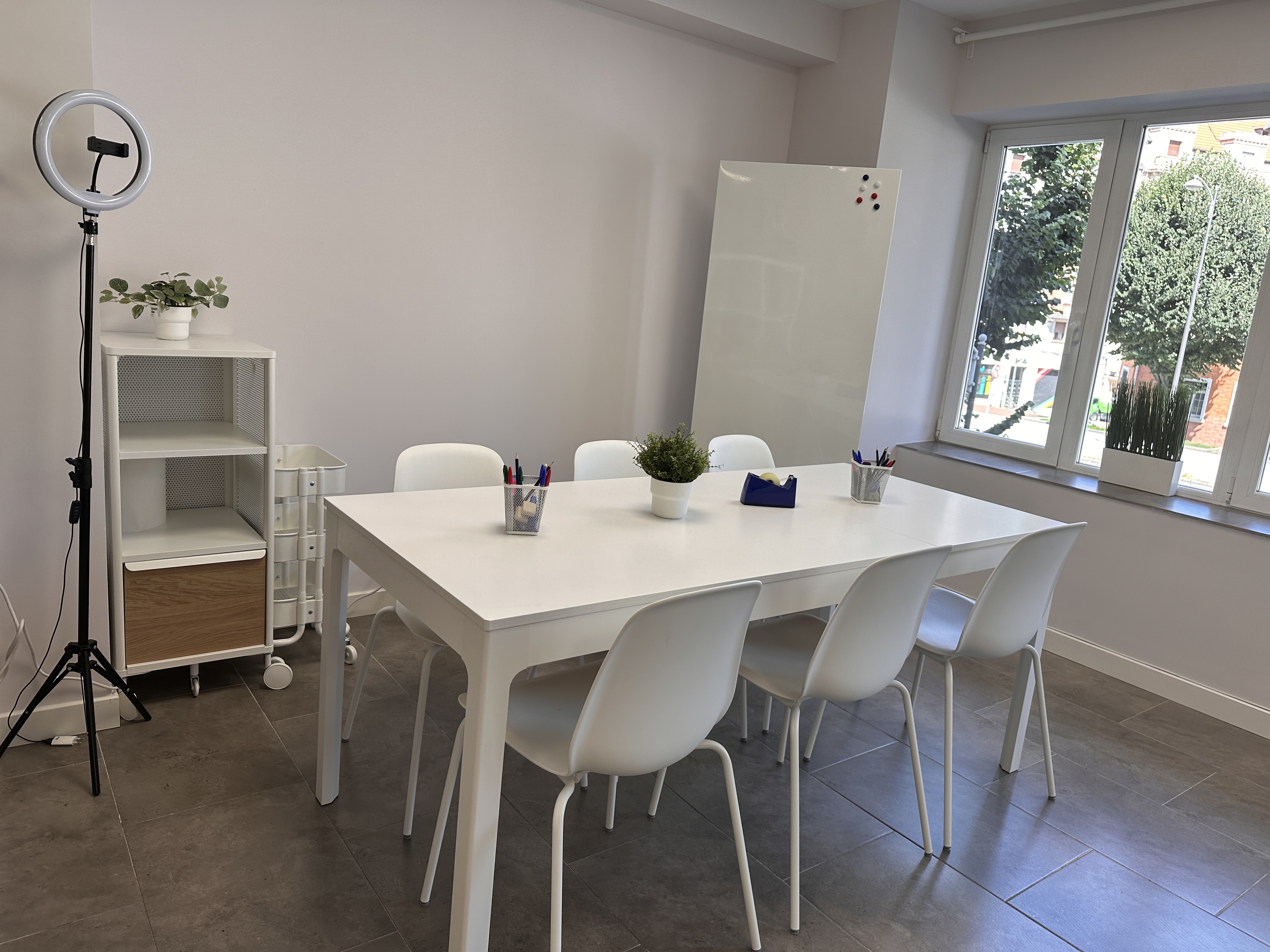 Galería en miniatura