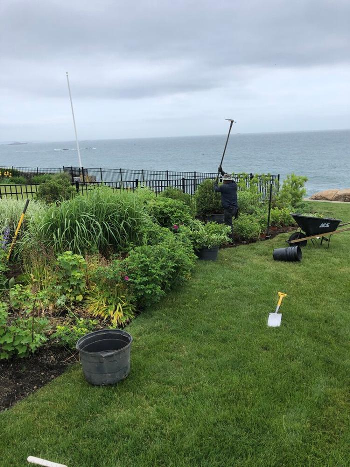 PlantParenthood - Swampscott, MA