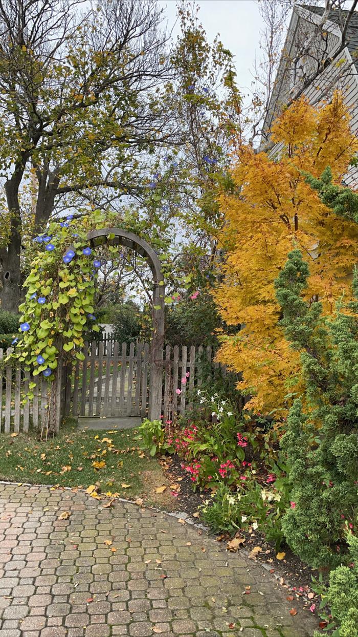 PlantParenthood - Swampscott, MA