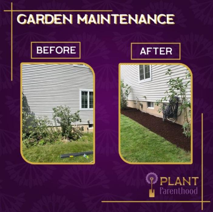 PlantParenthood - Swampscott, MA