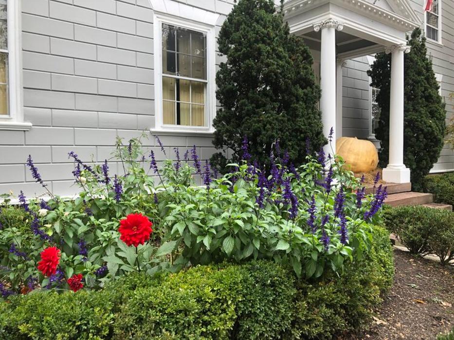 PlantParenthood - Swampscott, MA