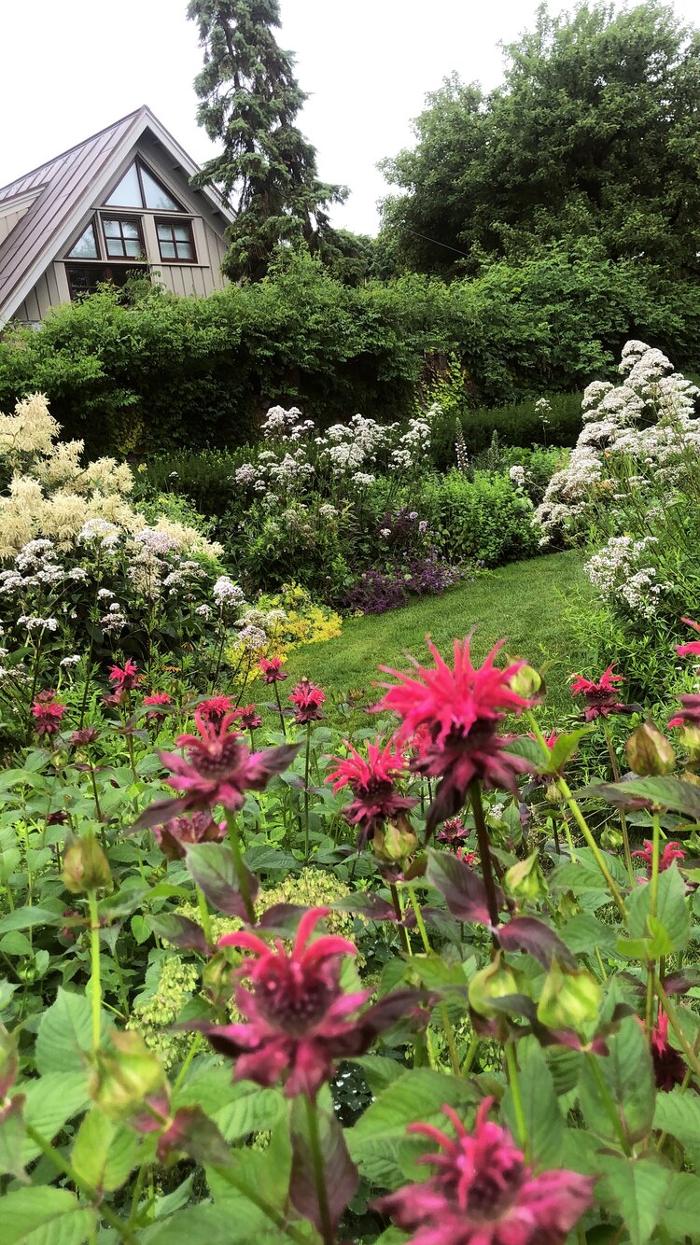 PlantParenthood - Swampscott, MA