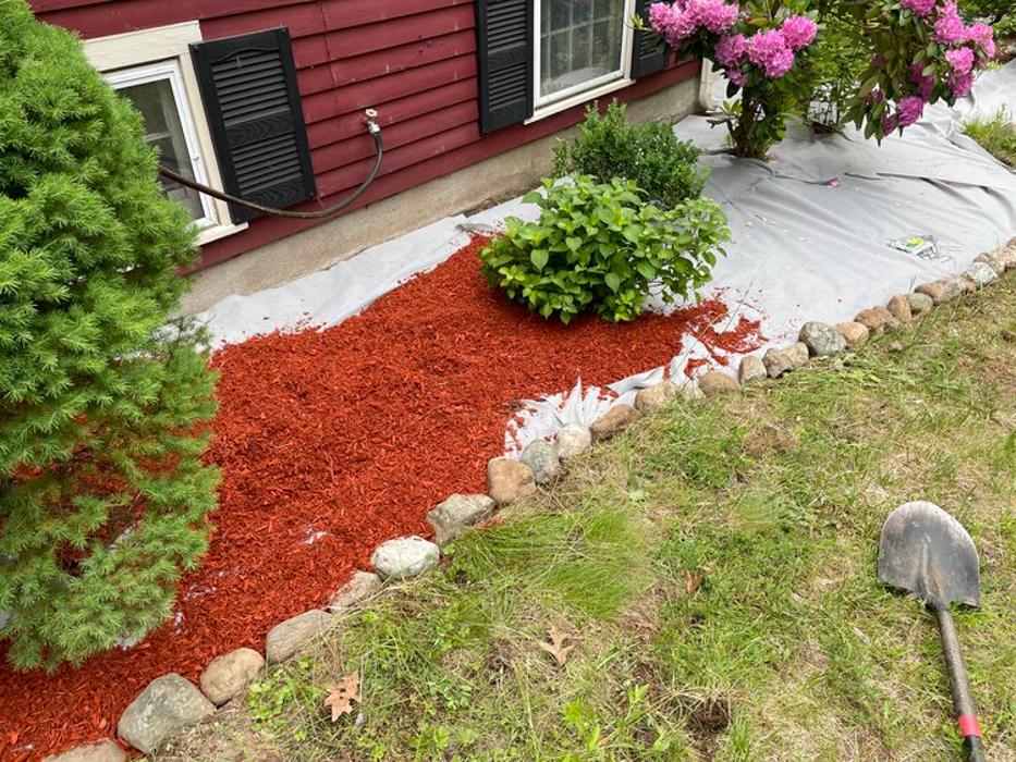 PlantParenthood - Swampscott, MA