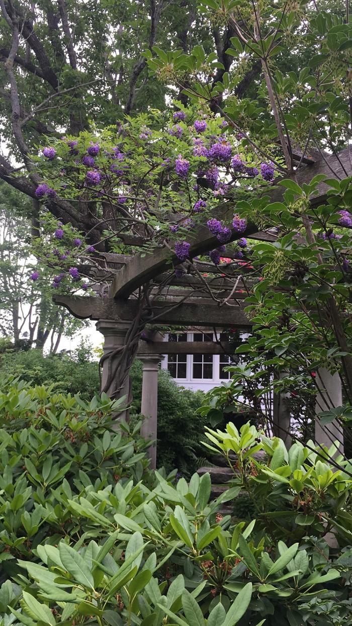 PlantParenthood - Swampscott, MA