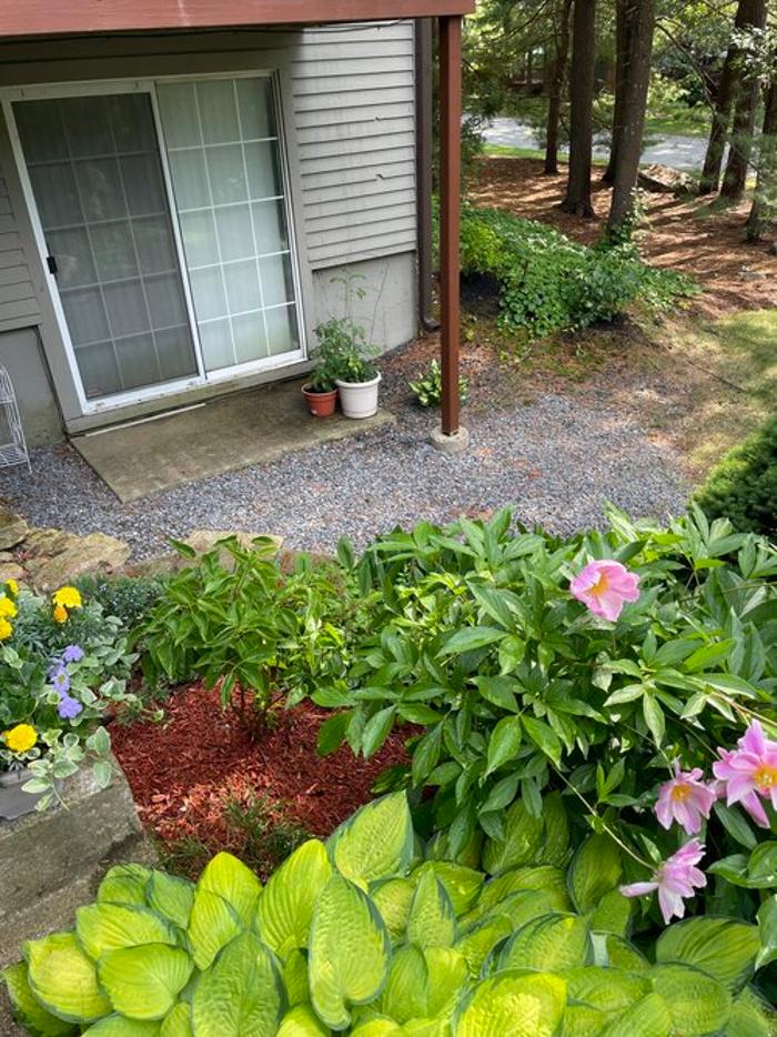 PlantParenthood - Swampscott, MA