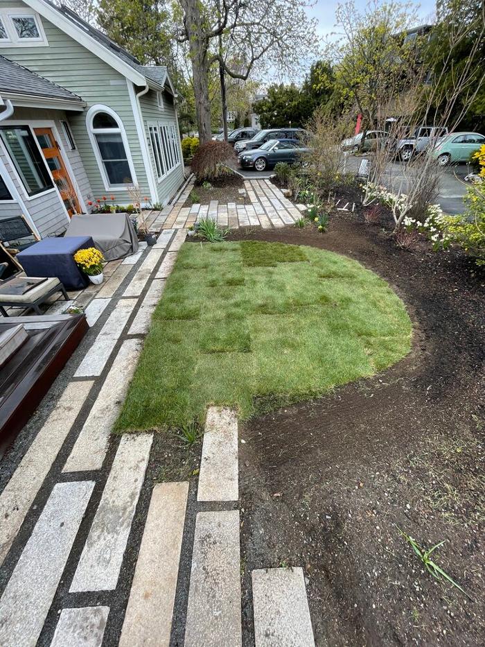 PlantParenthood - Swampscott, MA