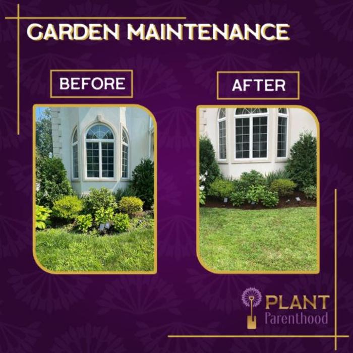 PlantParenthood - Swampscott, MA