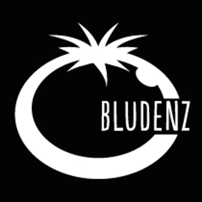 Blue Tomato Shop Bludenz in Bürs