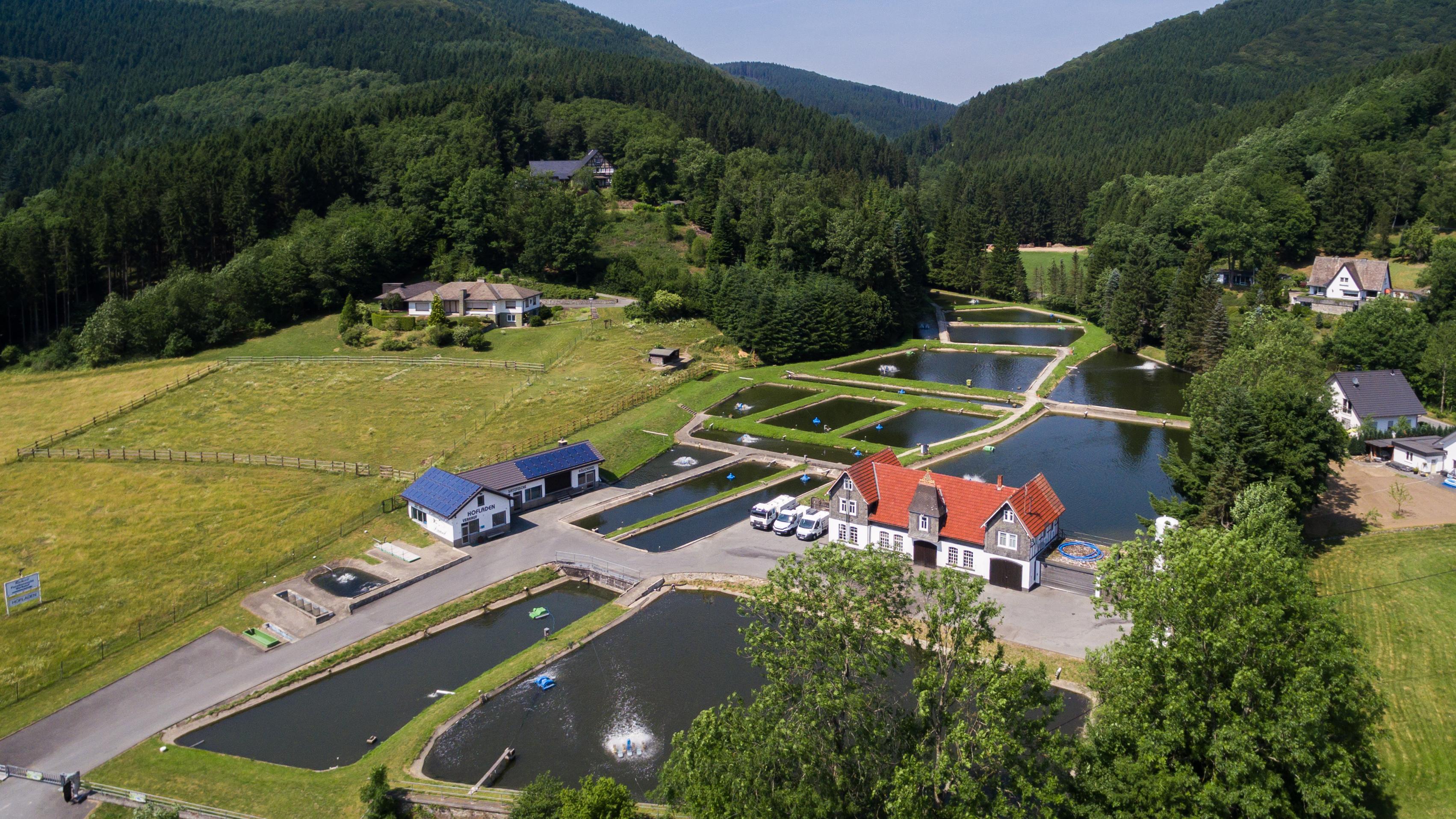 Sauerländer Forellenzucht Thomas Rameil in Lennestadt