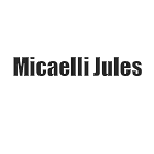 Micaelli Jules expert en automobile