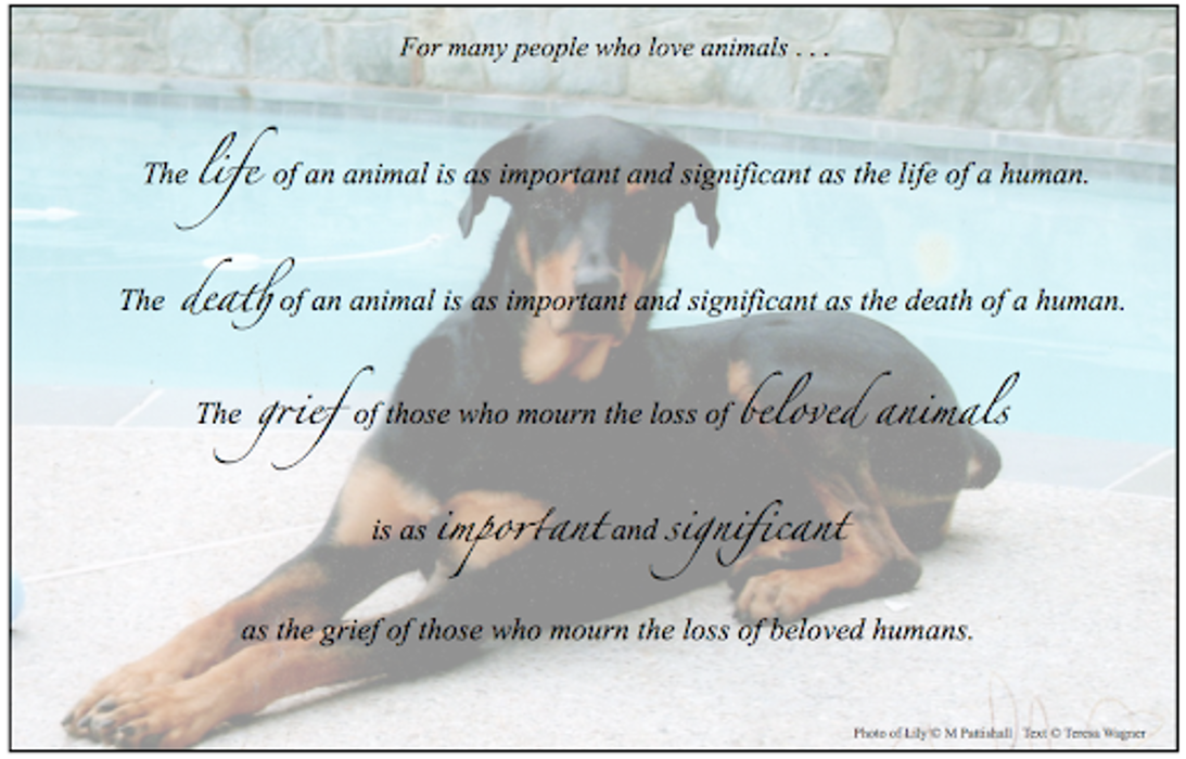 Peaceful Paws Memorial Services LLC - Opa Locka, FL