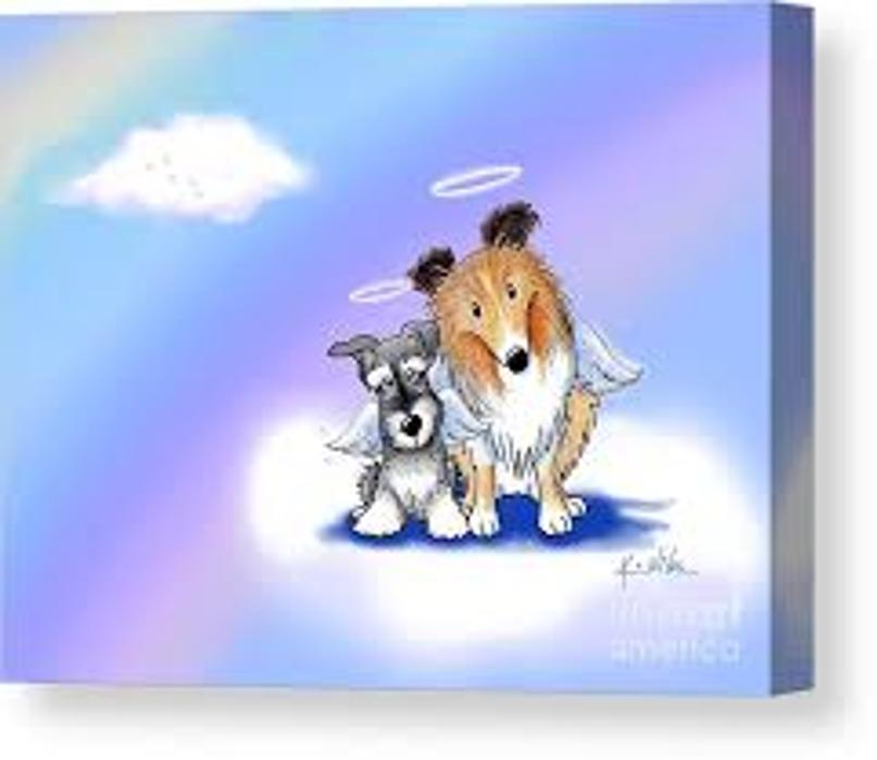 Peaceful Paws Memorial Services LLC - Opa Locka, FL