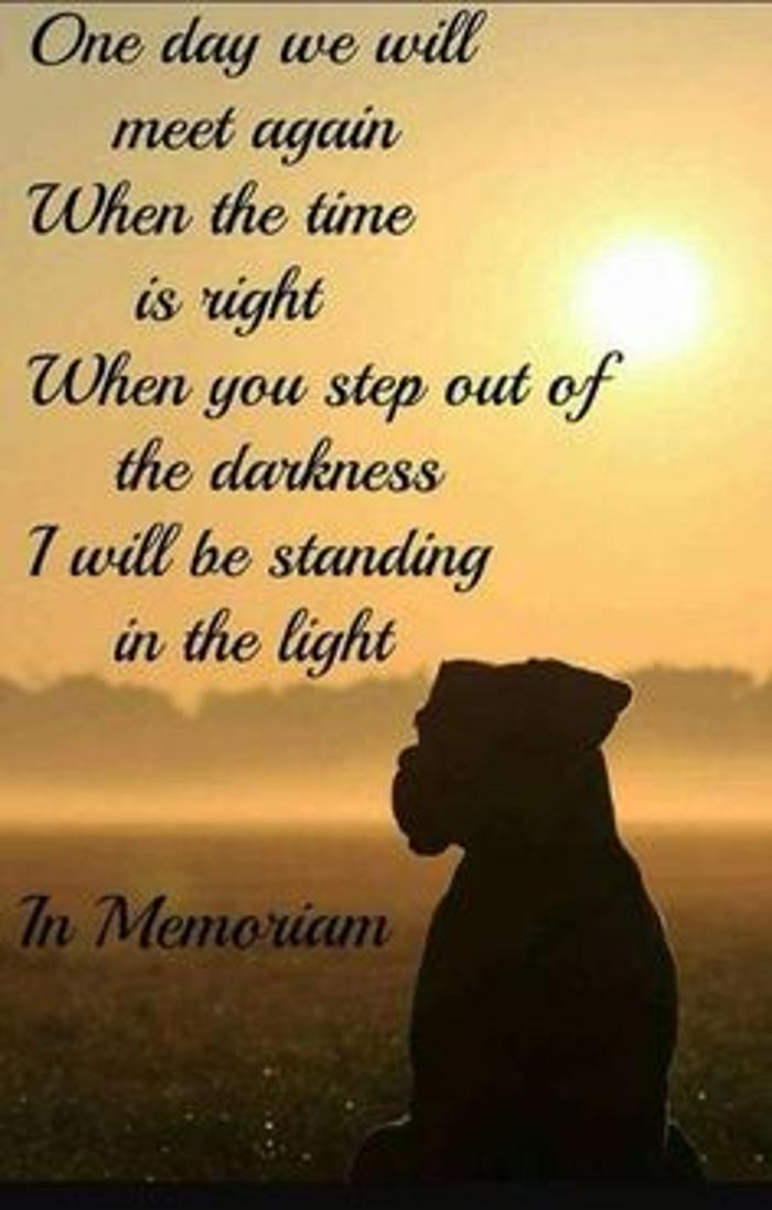 Peaceful Paws Memorial Services LLC - Opa Locka, FL