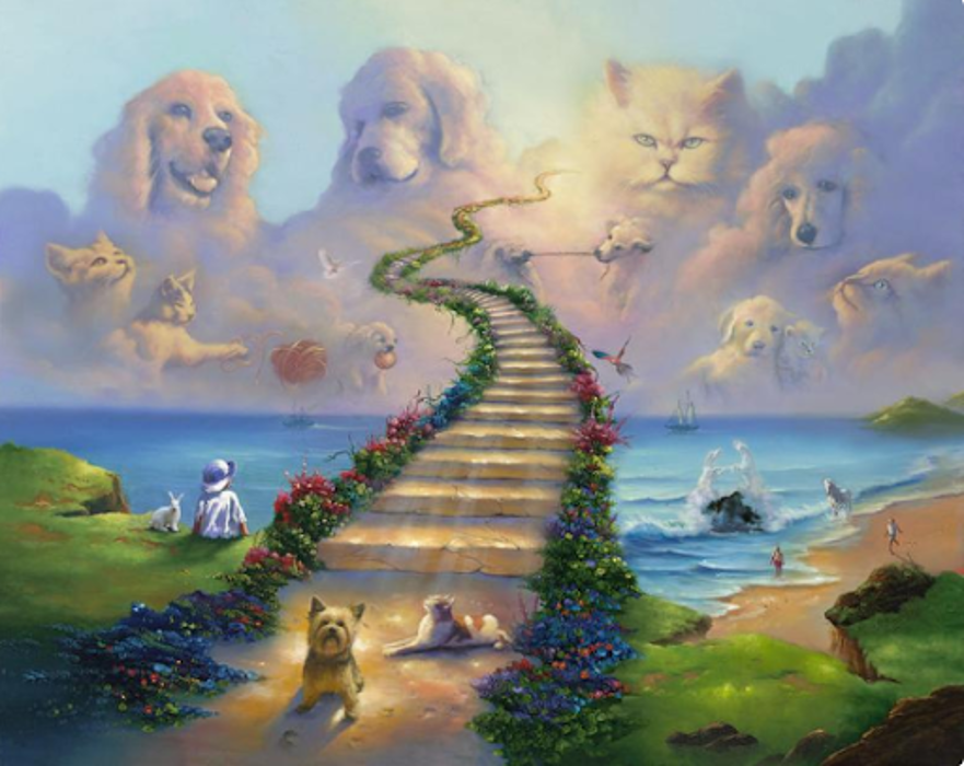 Peaceful Paws Memorial Services LLC - Opa Locka, FL