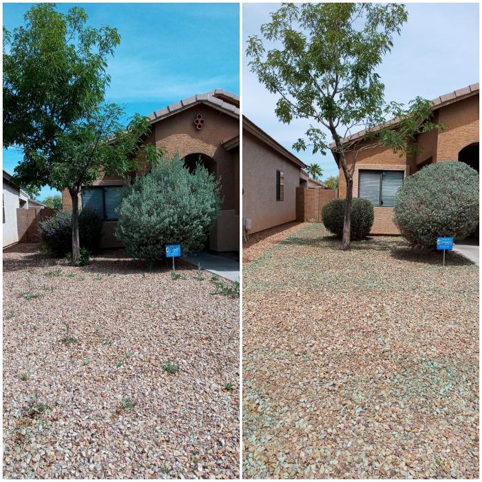 Milk and Honey Landscapes, LLC - Phoenix, AZ