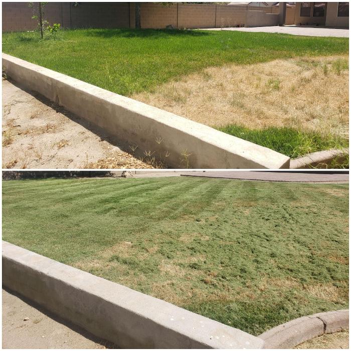 Milk and Honey Landscapes, LLC - Phoenix, AZ