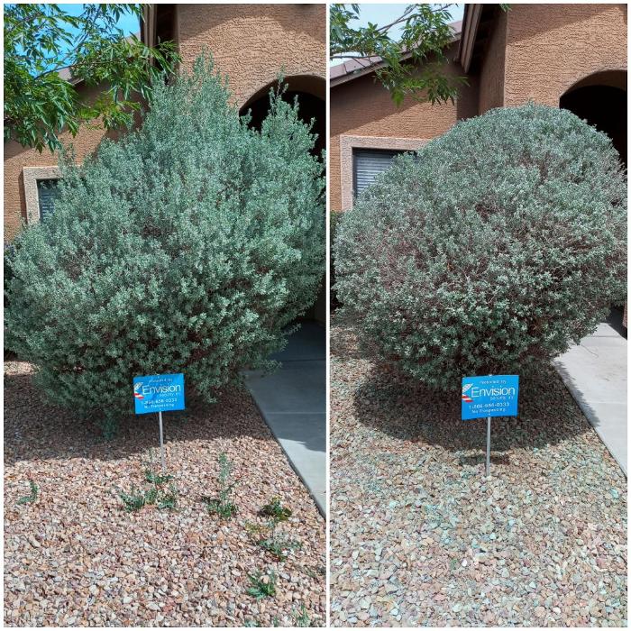 Milk and Honey Landscapes, LLC - Phoenix, AZ