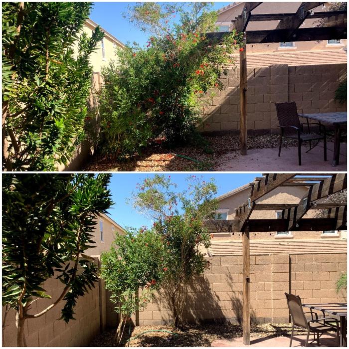 Milk and Honey Landscapes, LLC - Phoenix, AZ